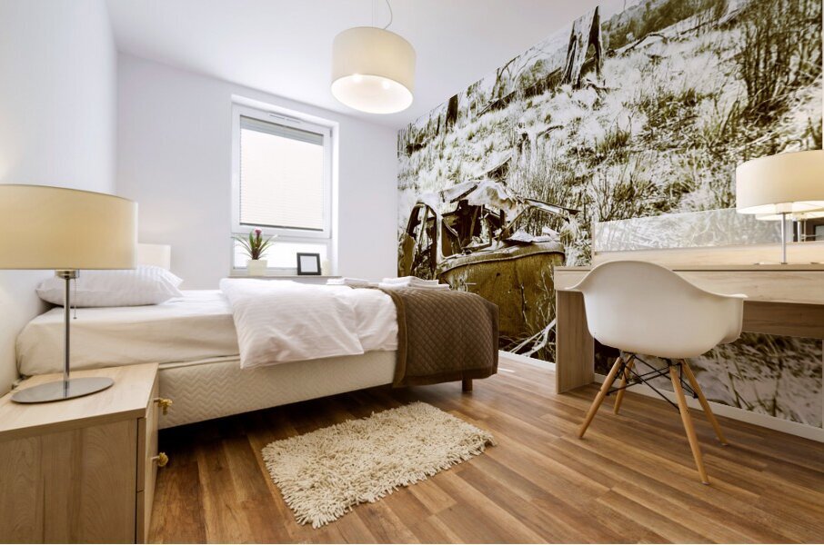 Rustic rural decay Mural print