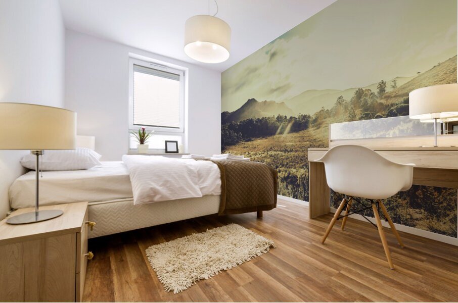 Sun bleached Australia Mural print