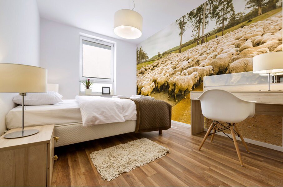 Outback road crossing Mural print