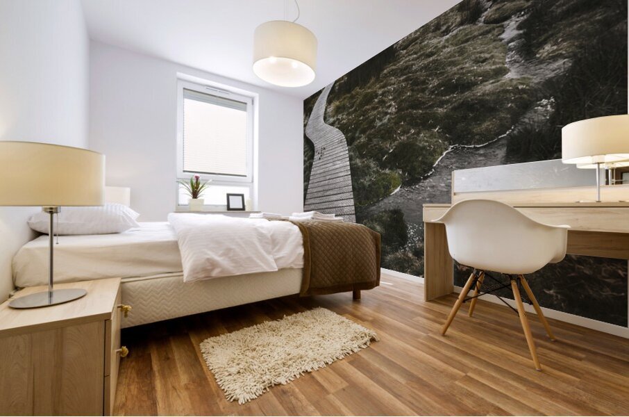 Dark dramatic winter landscape. Path of division Mural print