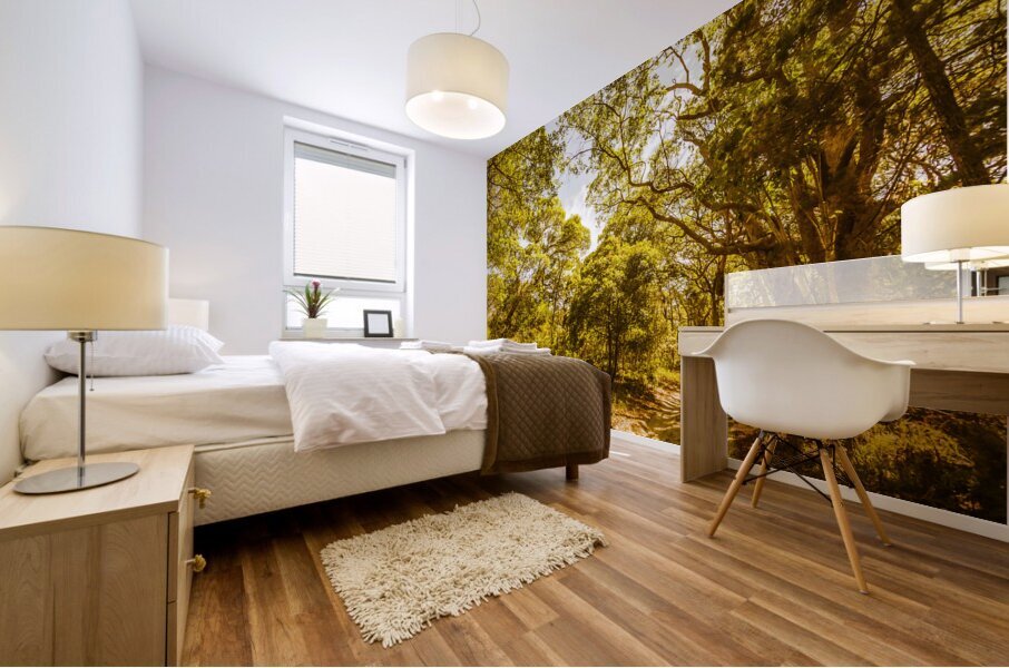 Queensland Wy. Mural print