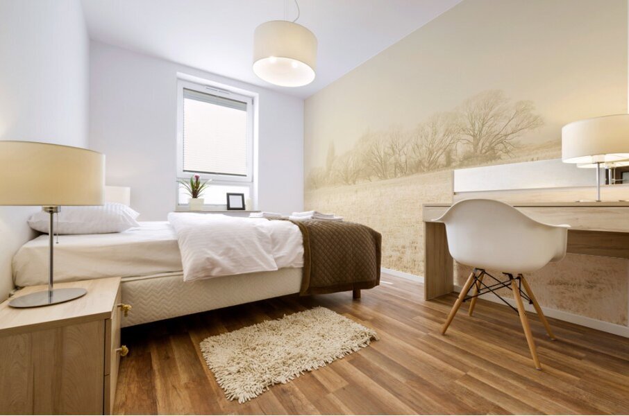 Icy cold foggy woodland Mural print