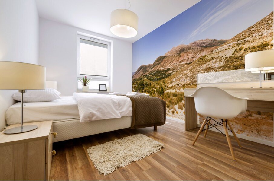 Regional ruggedness Mural print