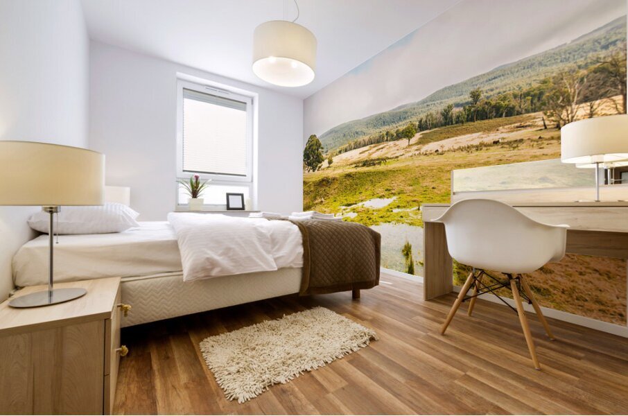 Puddled fields and distant hills Mural print