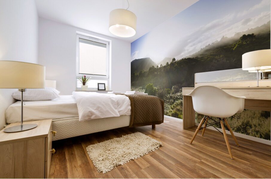 West Coast Range Landscape in Tasmania Australia Mural print