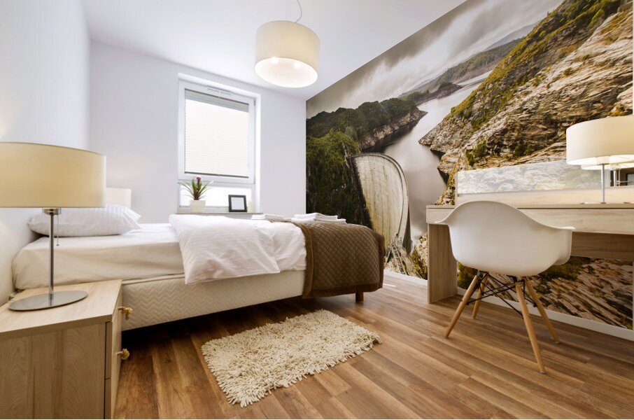 Tasmania Hydropower Dam Mural print