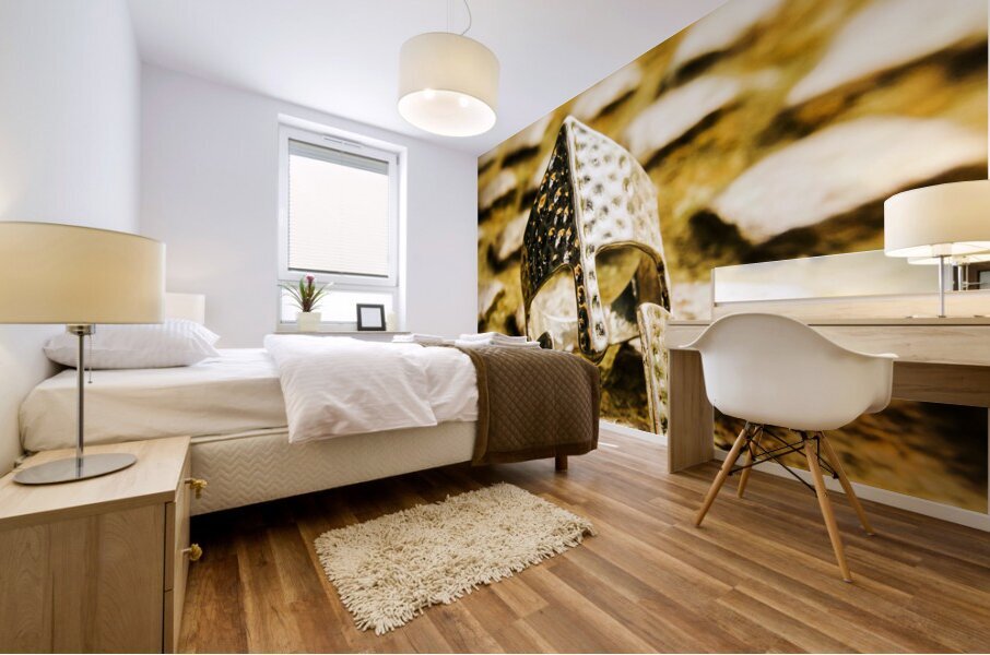 The Roman Pavement Mural print