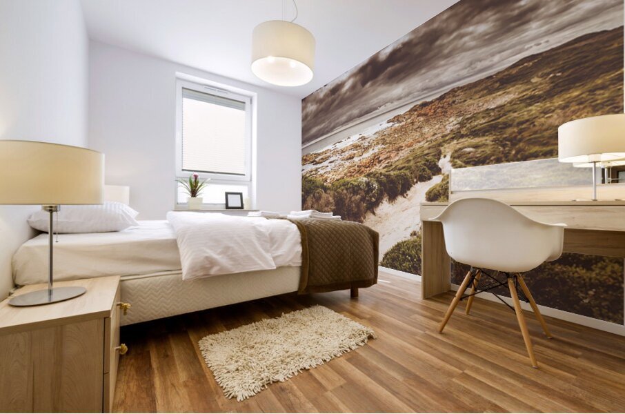 Trail to Western Tasmania Mural print