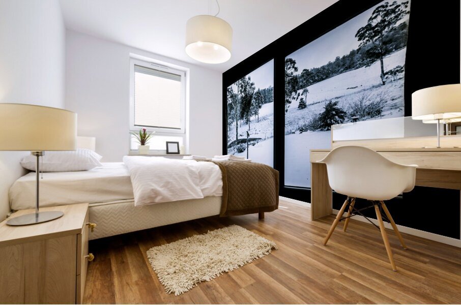 Windows to winter Mural print