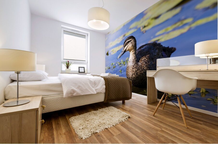 Pond Duck Mural print
