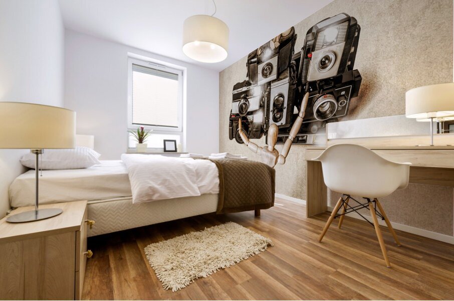 When the photographers away the toys will play Mural print