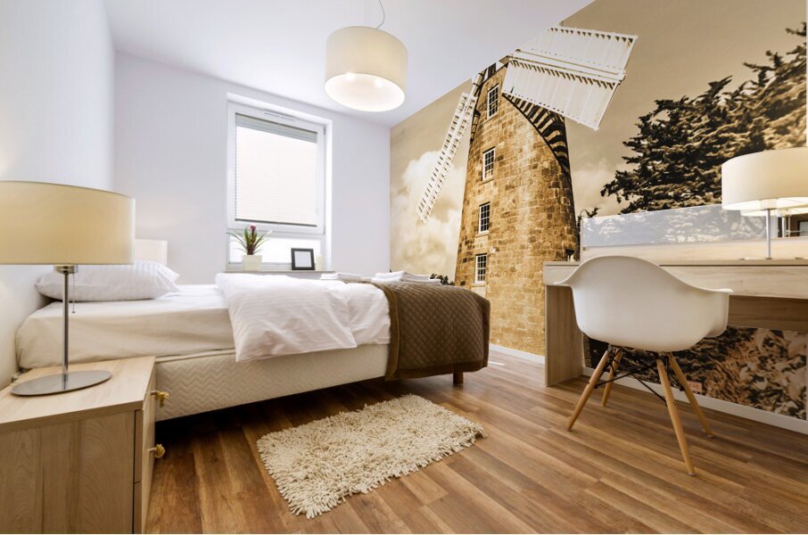 Classical Oatlands Callington Mill  Mural print