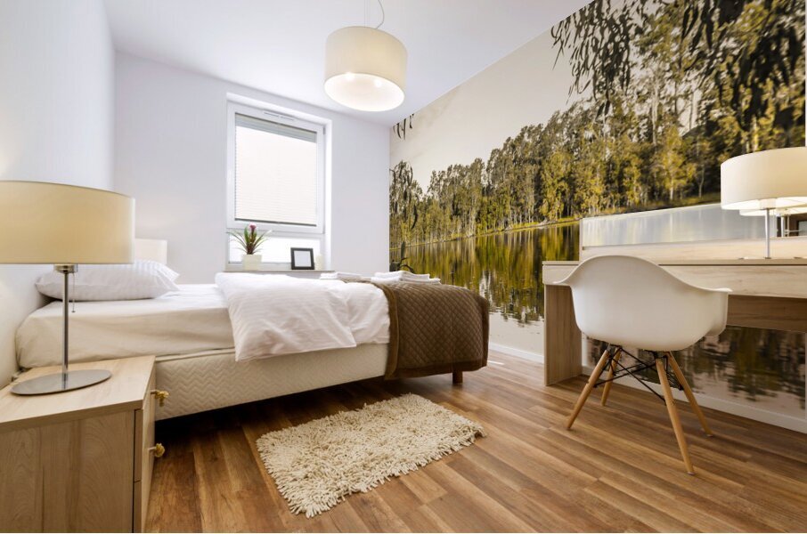 Reflective rivers Mural print