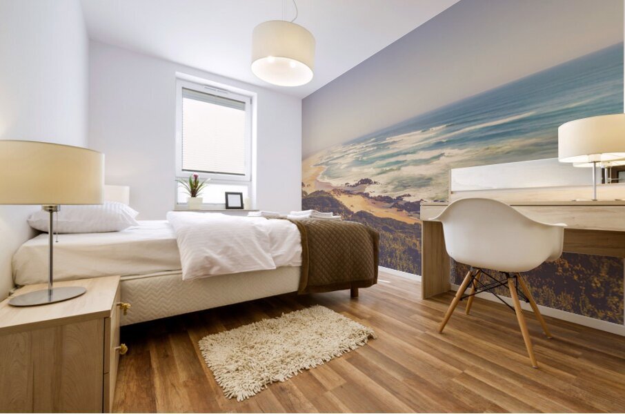 Trial Harbour to Ocean Beach Mural print