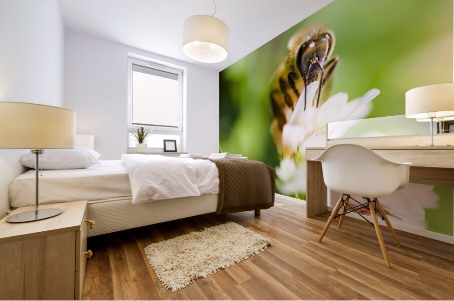 Honey Bee On Clover Flower Mural print