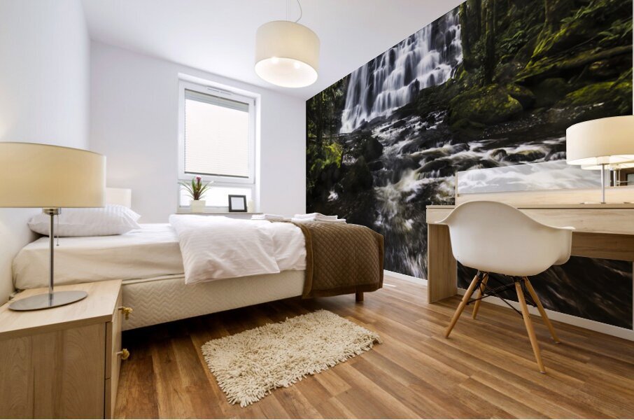 Waterfall wonders Mural print