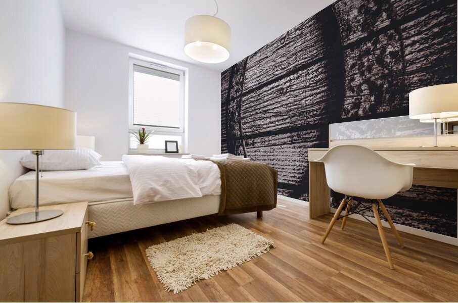 Horseshoe planks Mural print