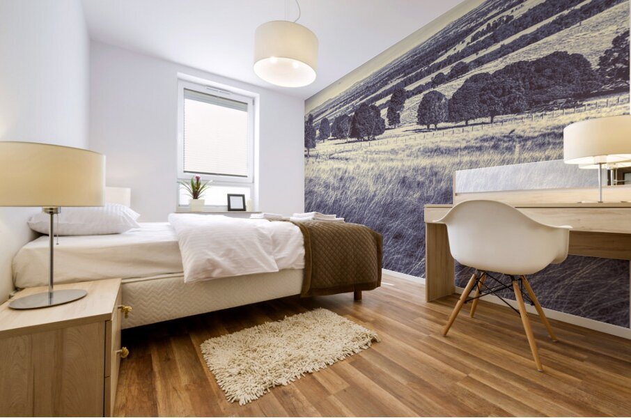 Sloping serenity Mural print