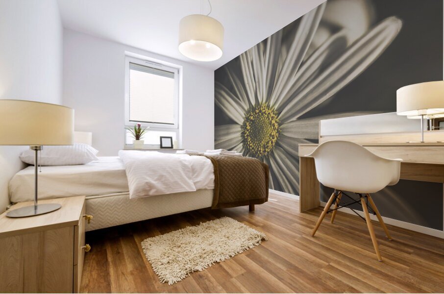 May Daisy Mural print