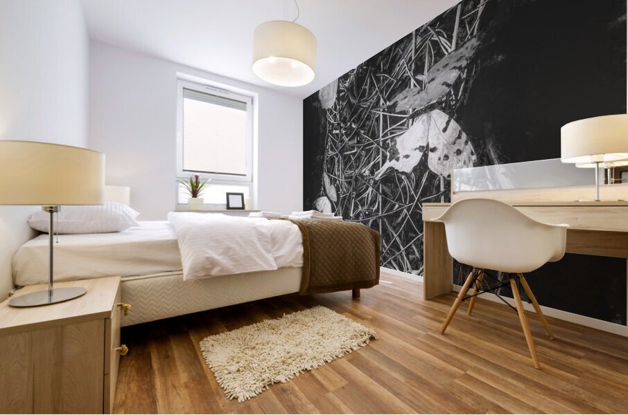 Desimilation  Mural print