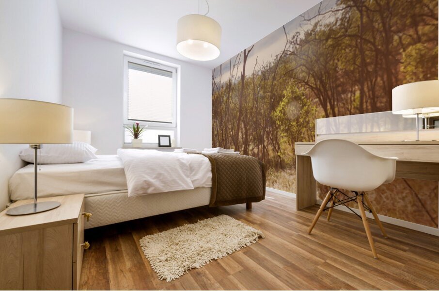 Misty Horizons Mural print