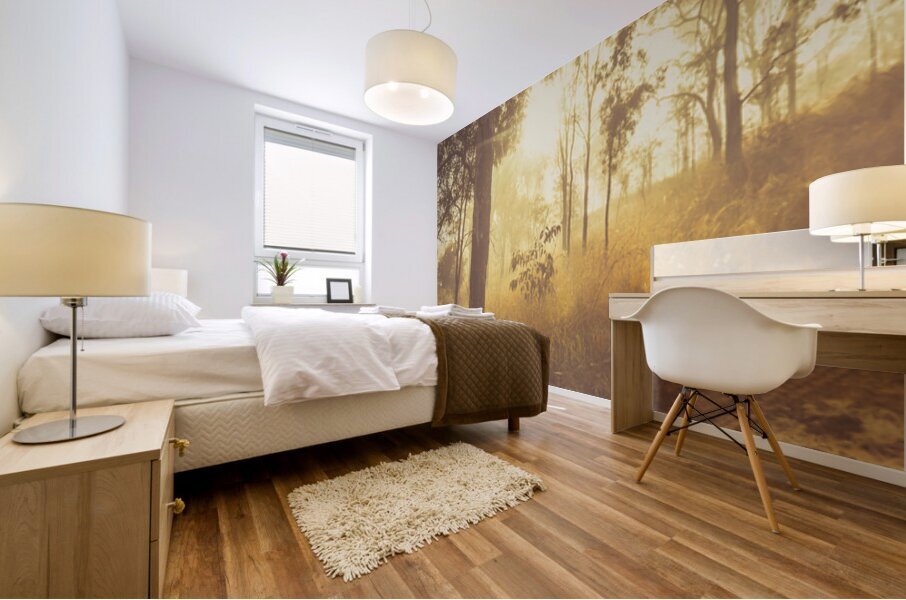 Dirt Road Dawn Mural print