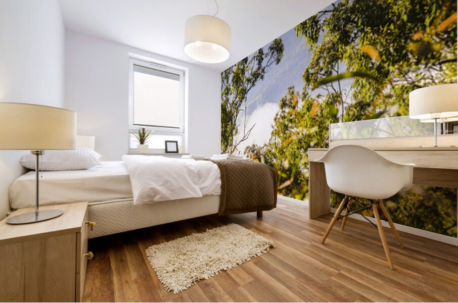 Glimpses Of Mt Perry Mural print