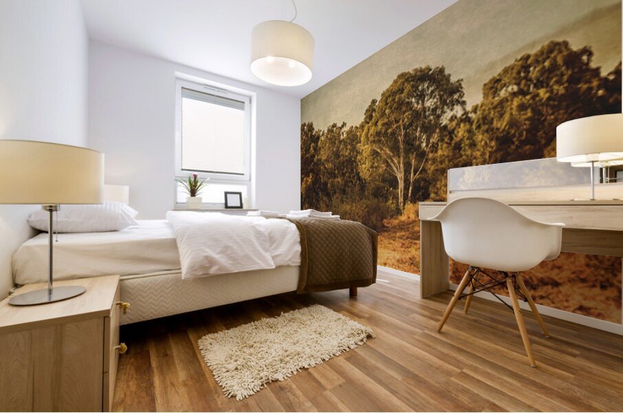 Country Weathered Mural print