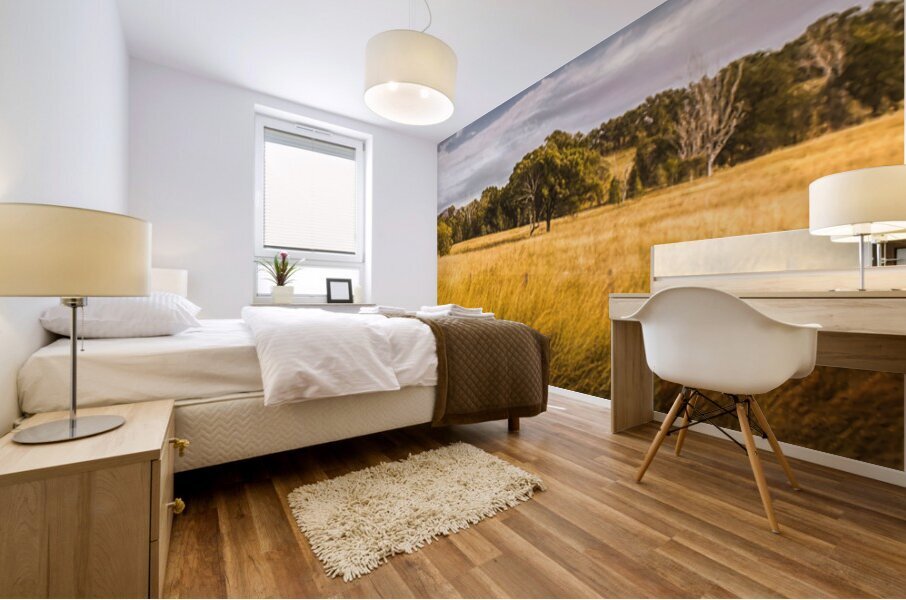 Wide Open Spaces Mural print