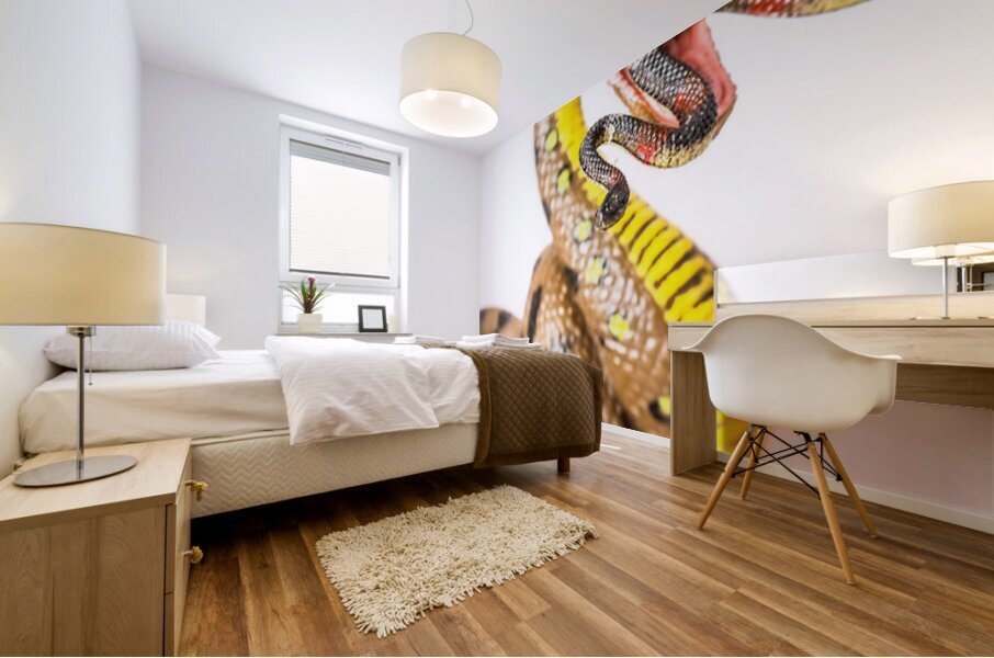 Snake vs Snake Mural print