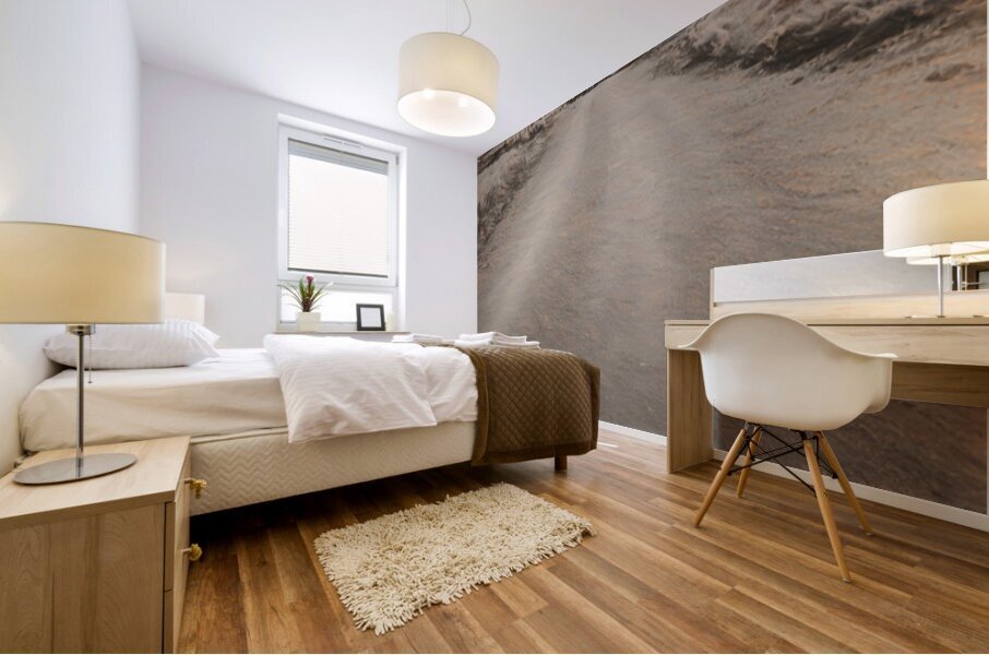 The Vintage Stretch Mural print