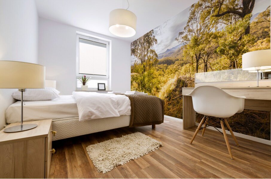 Valley Views Mural print