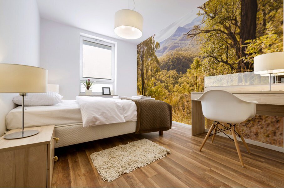 Queensland Country Mural print