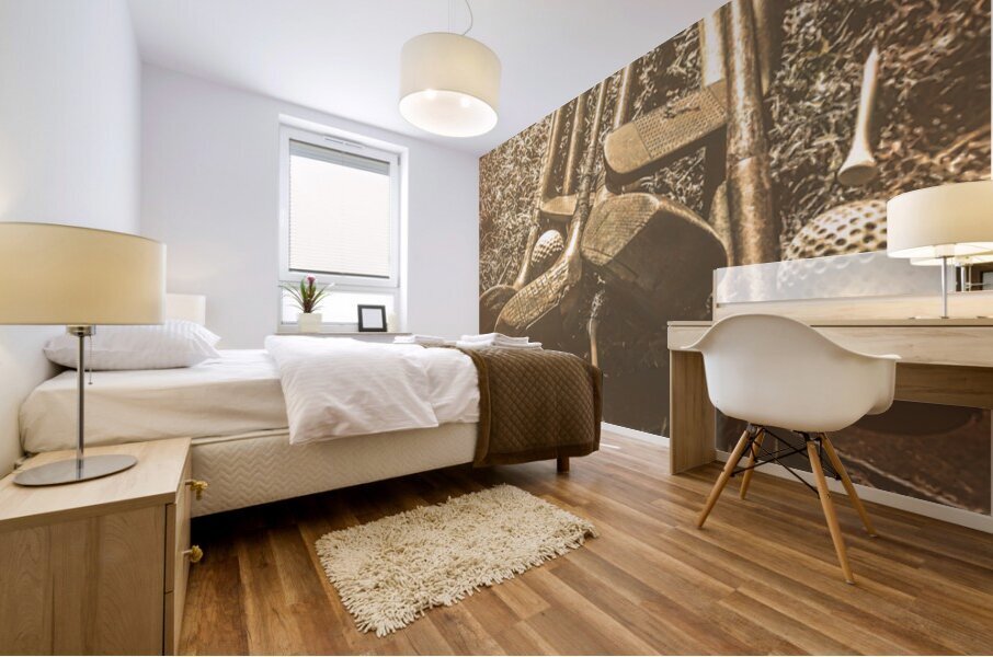 Past Game Memoirs Mural print