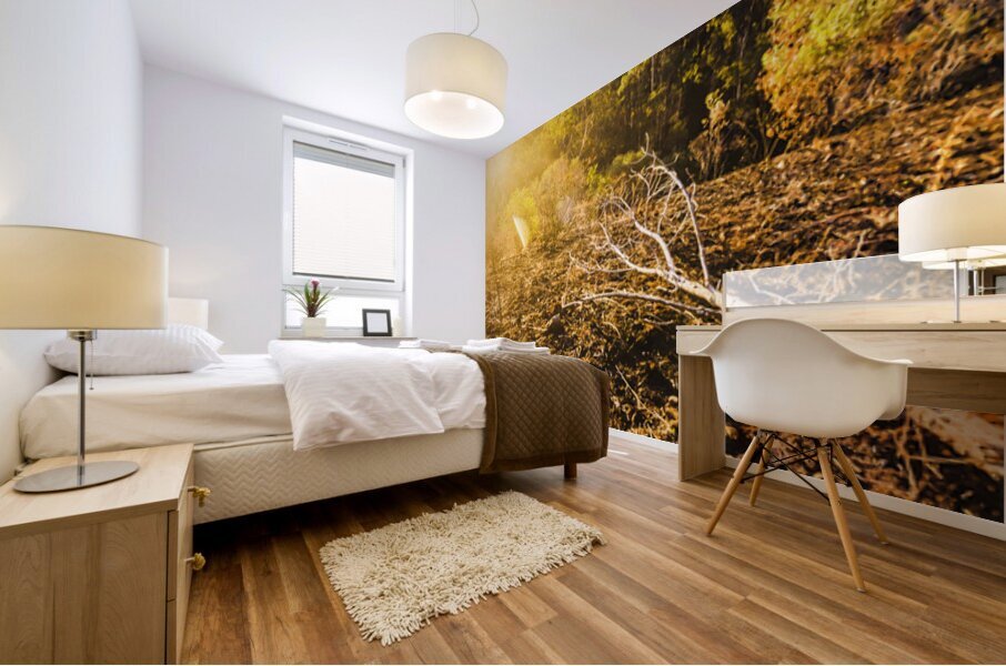 Country Clearing  Mural print