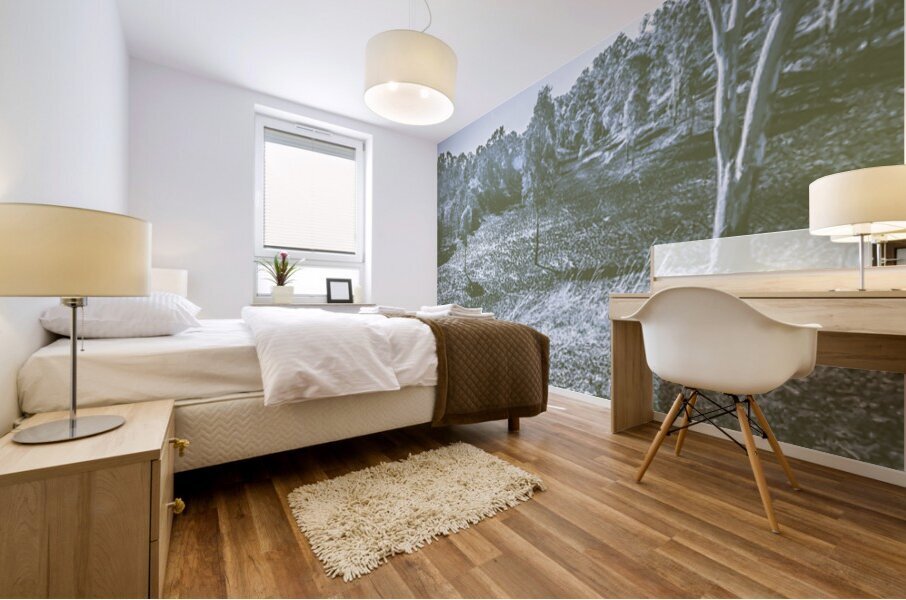 Barren Winterscape Mural print