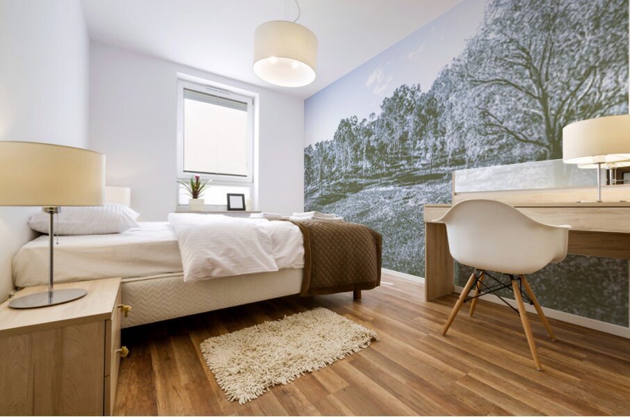 Wide Winter Wonder Mural print