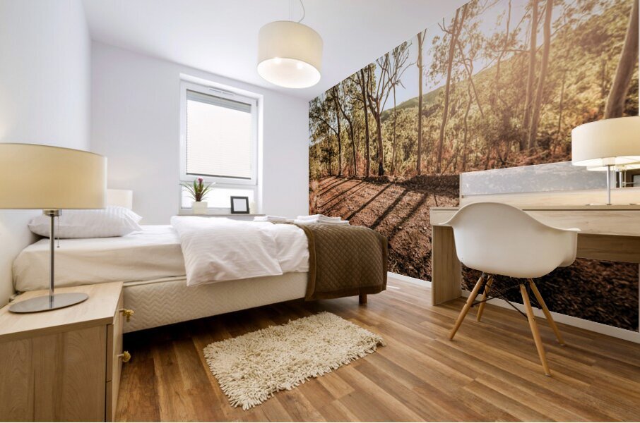 Upcountry Ridgeline Mural print