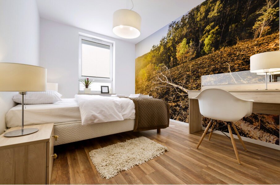 Awash In Sundown Mural print