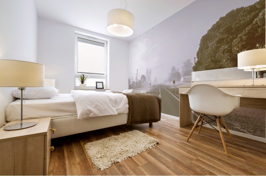 Into The Grey Mural print