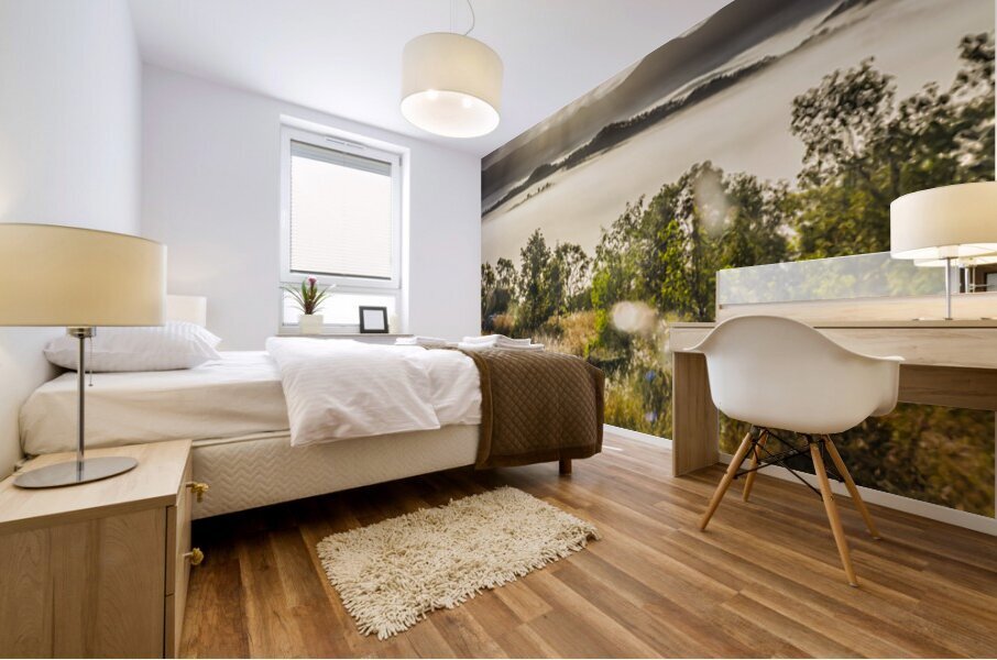 Valley Fogs Mural print