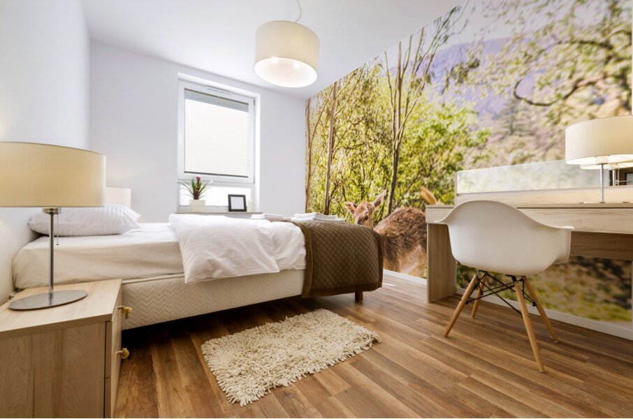 Deer Exploring A Sunlit Forest Field Mural print