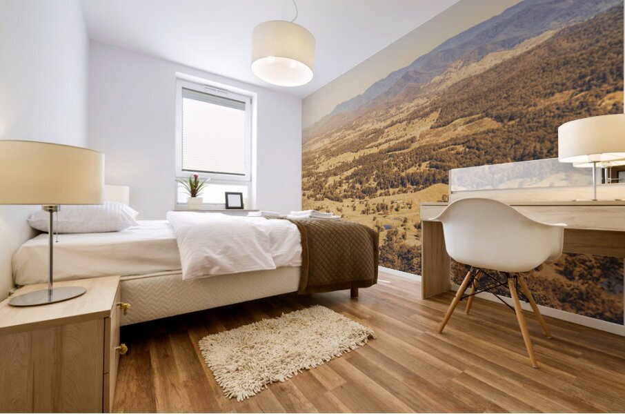 Faded Old Rustic Country Mural print