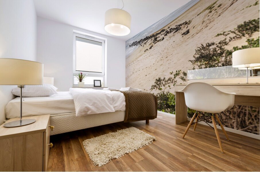 Queensland Calm Mural print