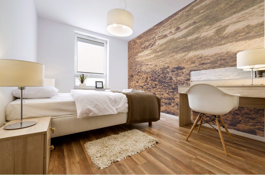 Ocean Afternoons Mural print