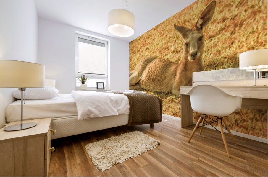 Australian Lawn Mower Mural print