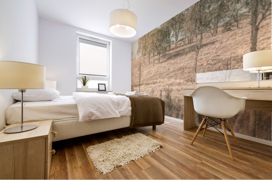 Warm And Rustic Mural print