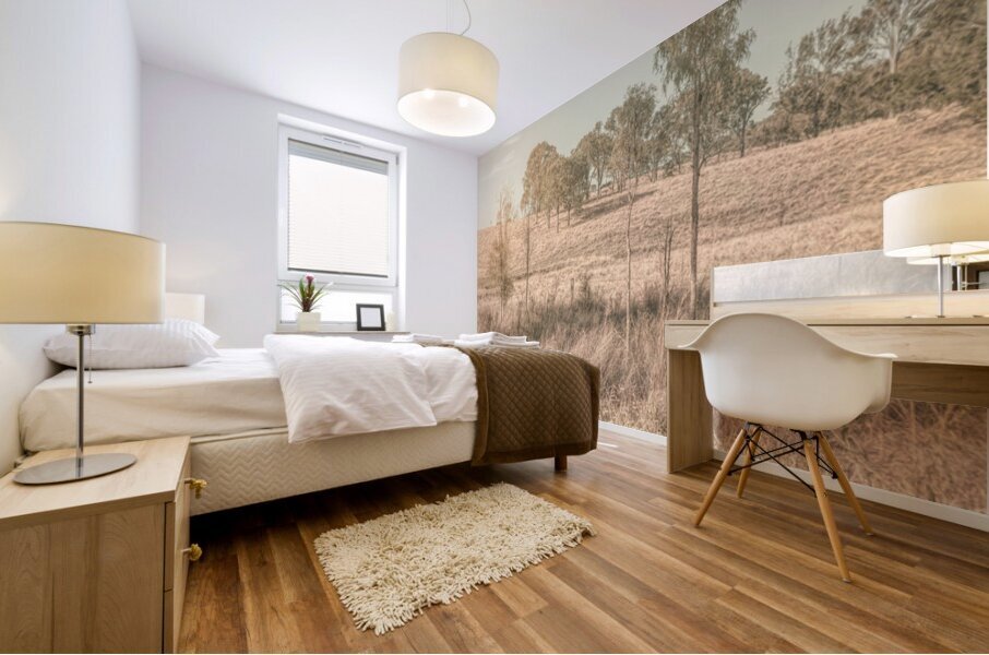 Muted Outbacks Mural print