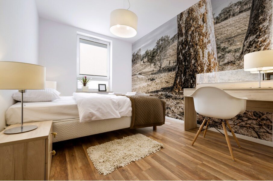 Country Wash Mural print