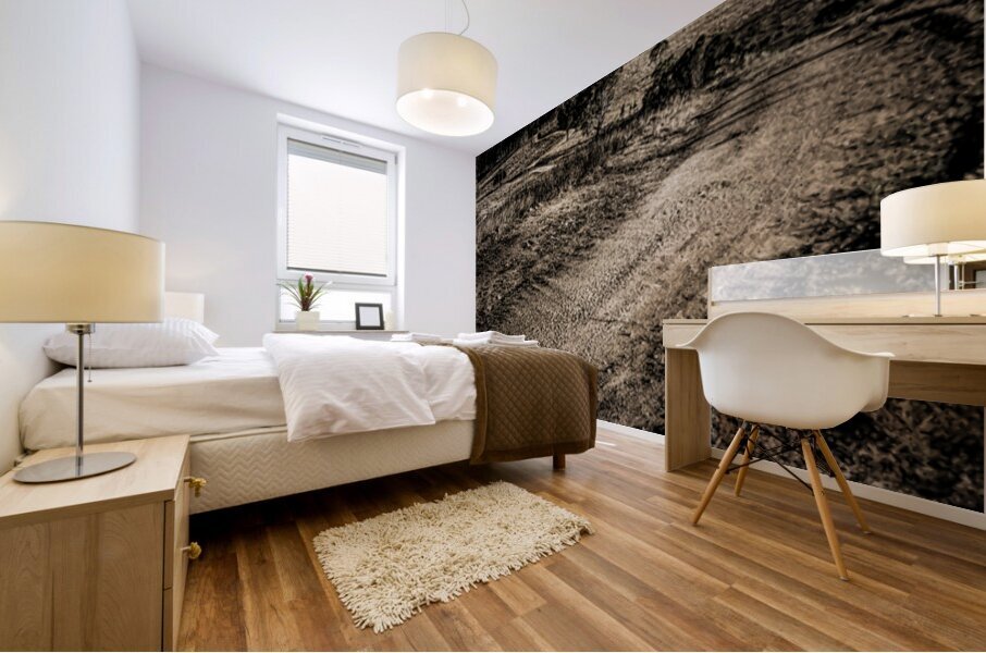 Backroads Billowing Mural print